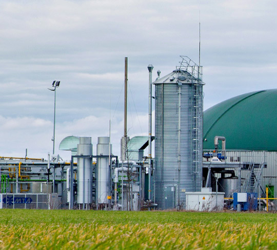 dairy-farm